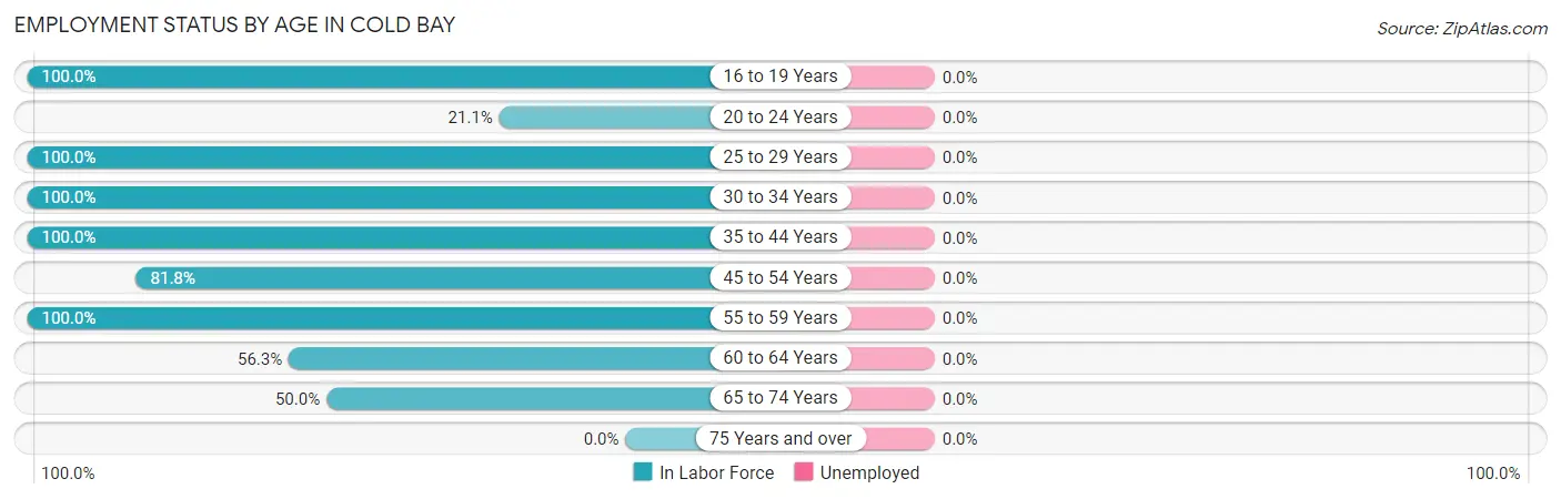 Employment Status by Age in Cold Bay