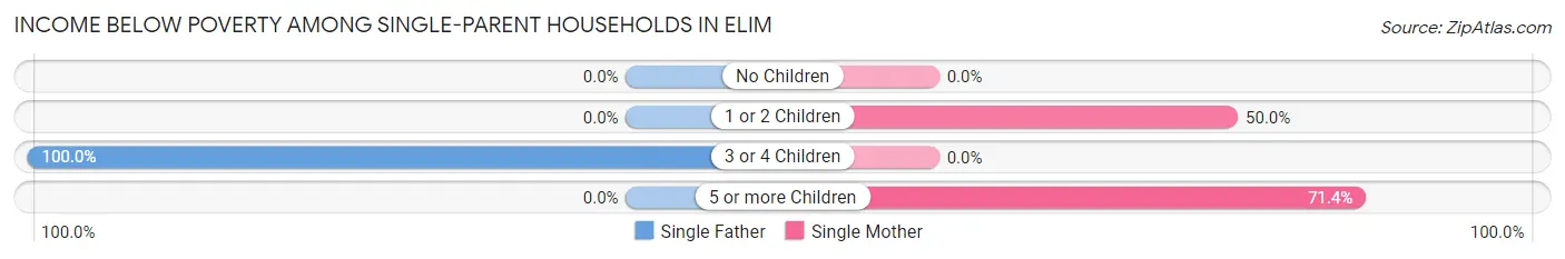 Income Below Poverty Among Single-Parent Households in Elim
