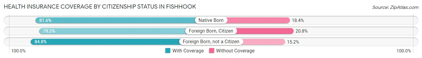 Health Insurance Coverage by Citizenship Status in Fishhook