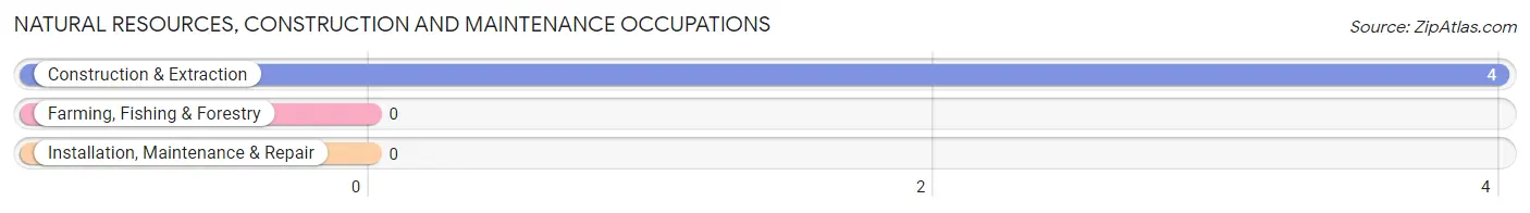 Natural Resources, Construction and Maintenance Occupations in Gakona