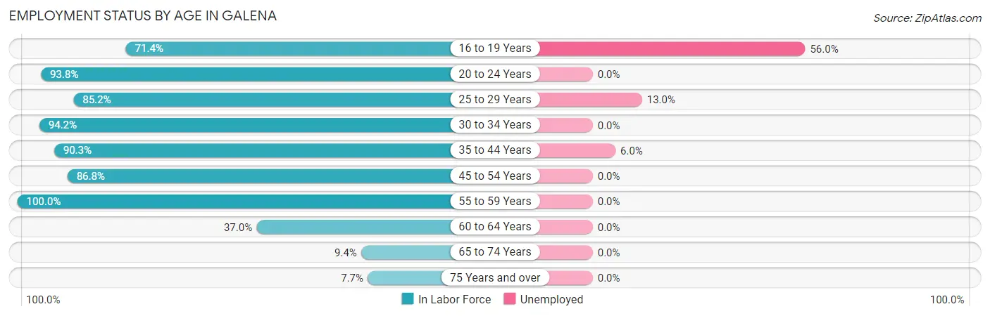 Employment Status by Age in Galena