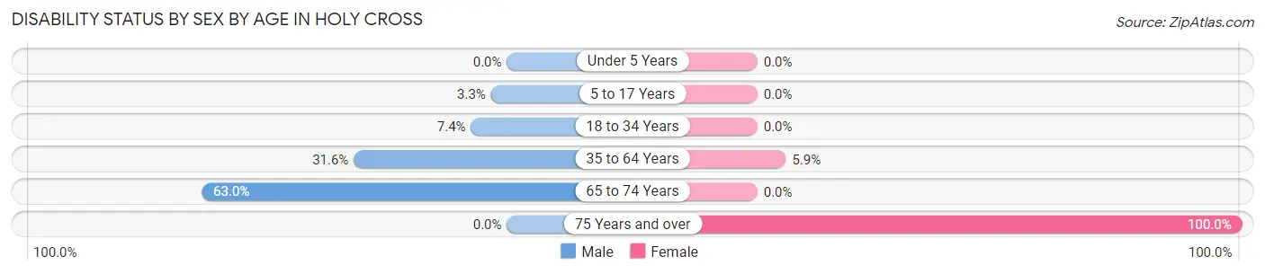 Disability Status by Sex by Age in Holy Cross