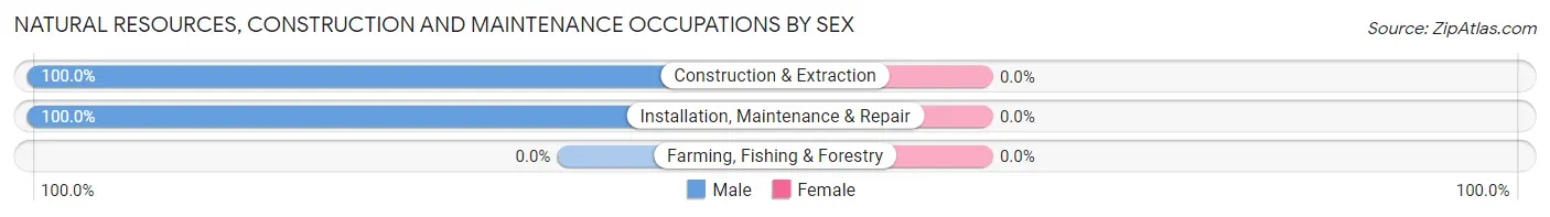 Natural Resources, Construction and Maintenance Occupations by Sex in Hooper Bay