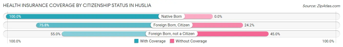 Health Insurance Coverage by Citizenship Status in Huslia