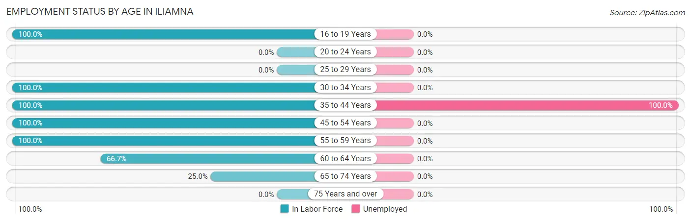 Employment Status by Age in Iliamna