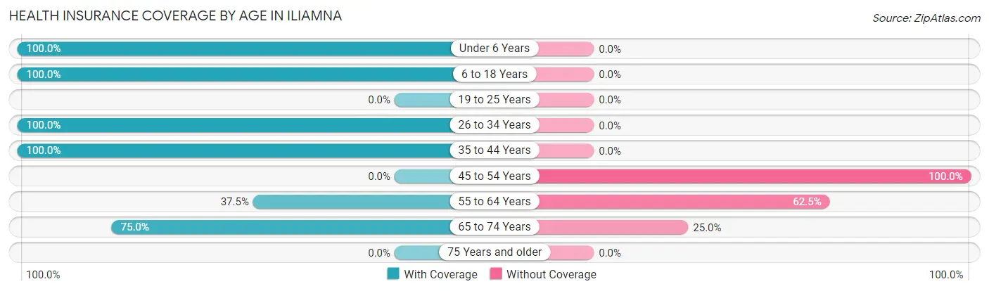 Health Insurance Coverage by Age in Iliamna