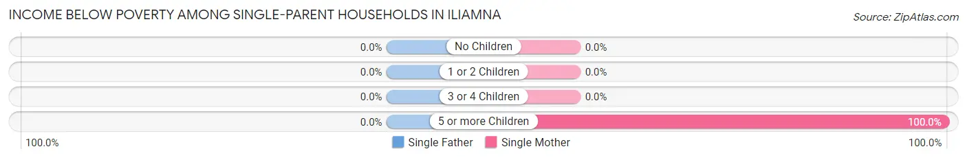 Income Below Poverty Among Single-Parent Households in Iliamna