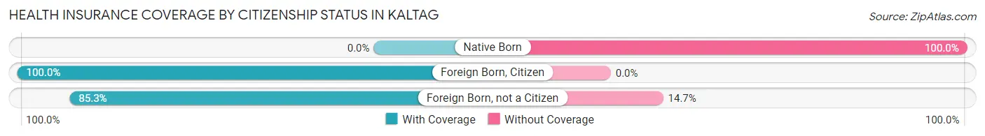 Health Insurance Coverage by Citizenship Status in Kaltag
