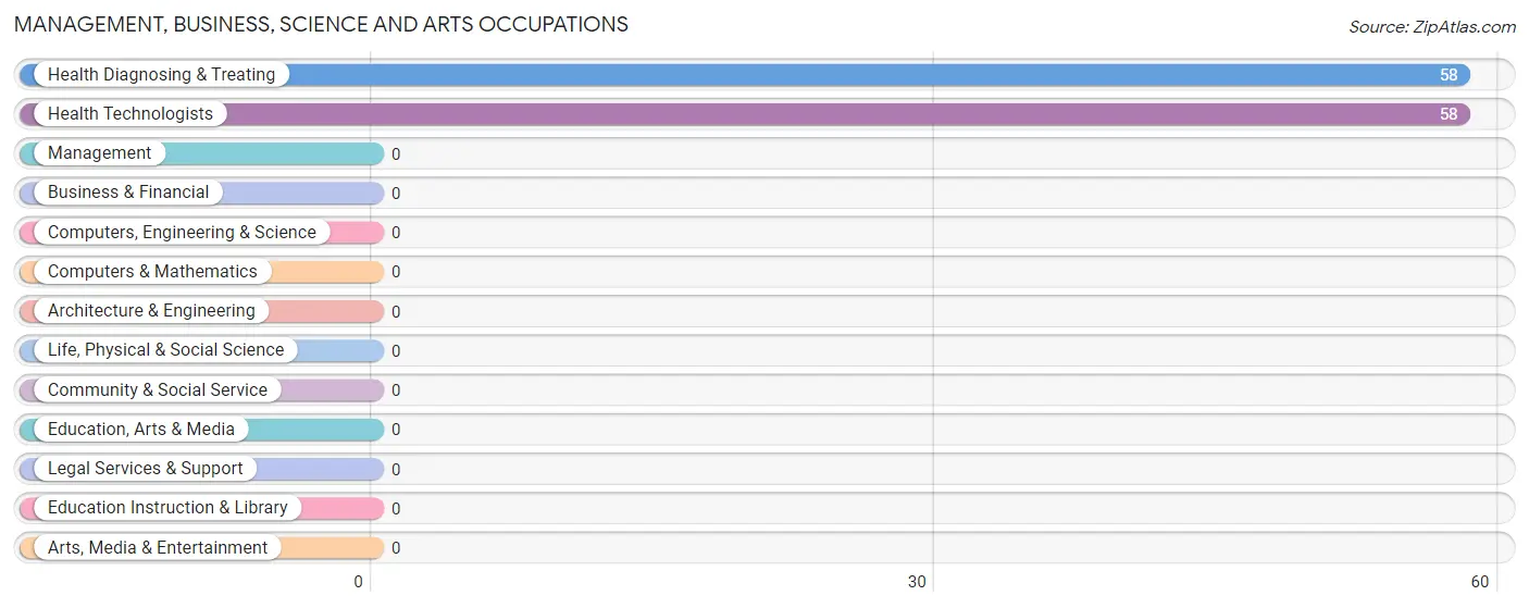 Management, Business, Science and Arts Occupations in Kasilof