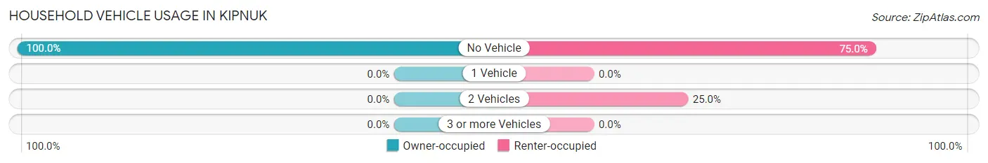 Household Vehicle Usage in Kipnuk