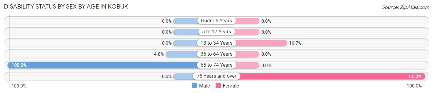 Disability Status by Sex by Age in Kobuk
