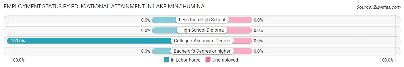 Employment Status by Educational Attainment in Lake Minchumina