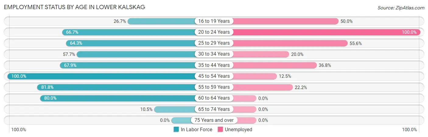 Employment Status by Age in Lower Kalskag