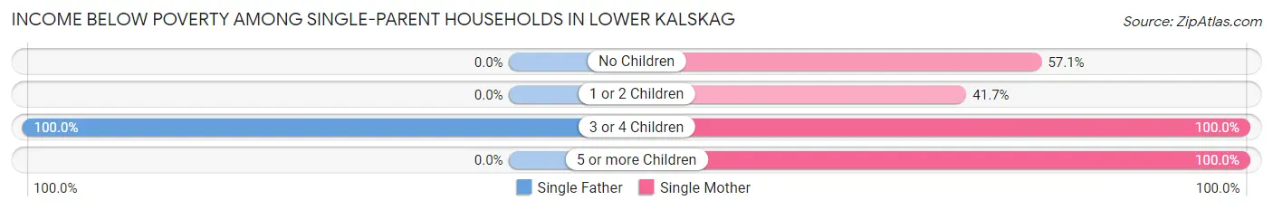 Income Below Poverty Among Single-Parent Households in Lower Kalskag