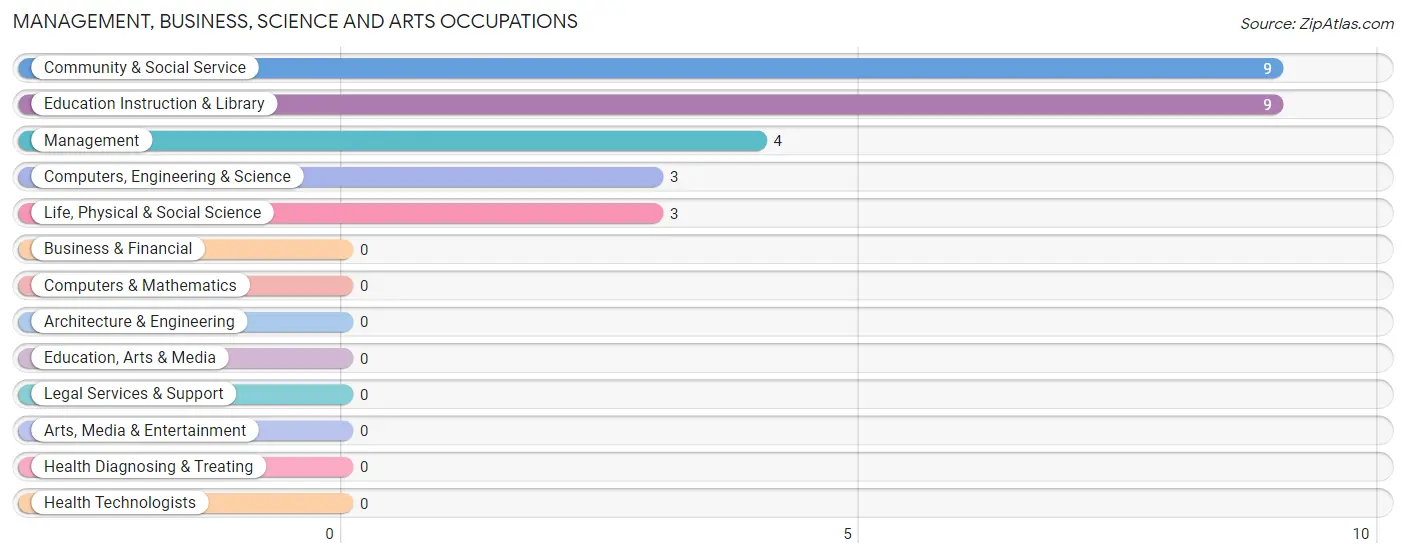 Management, Business, Science and Arts Occupations in Lower Kalskag