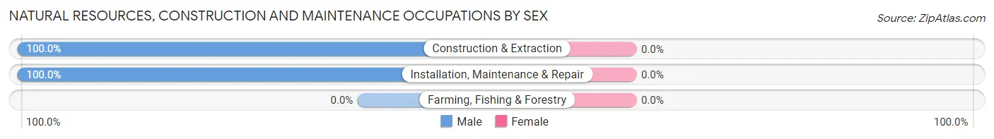 Natural Resources, Construction and Maintenance Occupations by Sex in Lower Kalskag