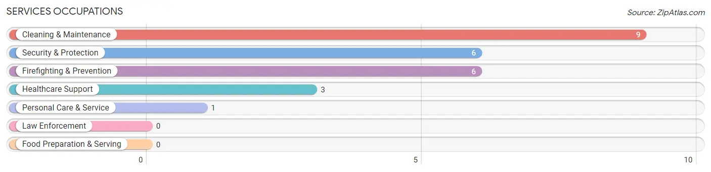 Services Occupations in Lower Kalskag