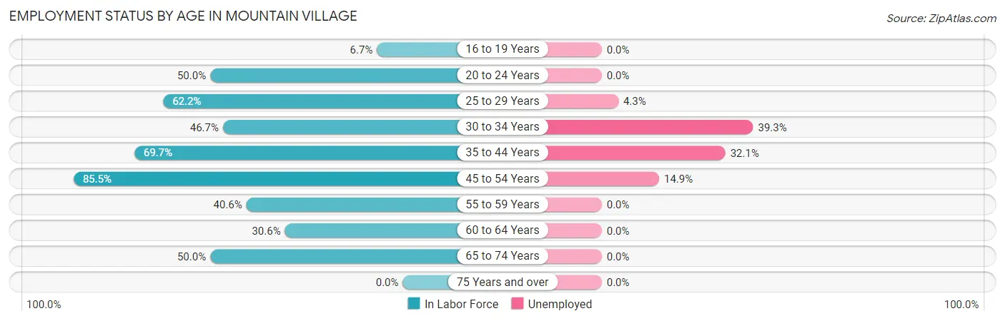 Employment Status by Age in Mountain Village