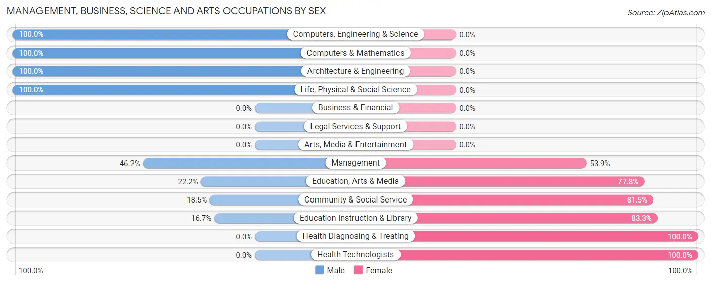 Management, Business, Science and Arts Occupations by Sex in New Stuyahok
