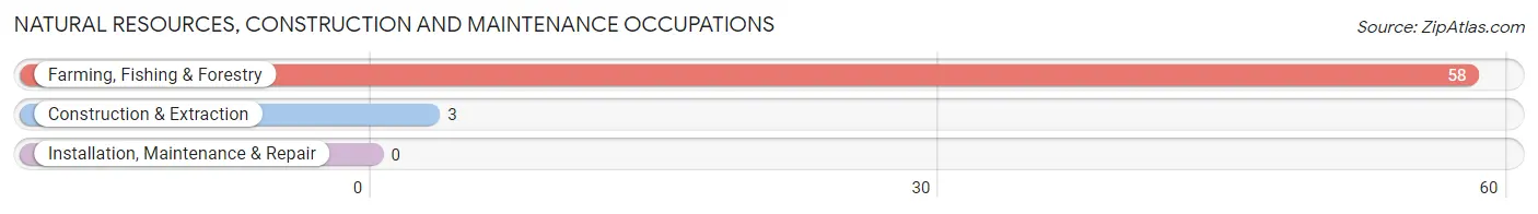 Natural Resources, Construction and Maintenance Occupations in New Stuyahok