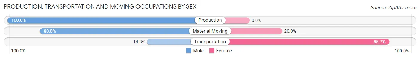 Production, Transportation and Moving Occupations by Sex in New Stuyahok