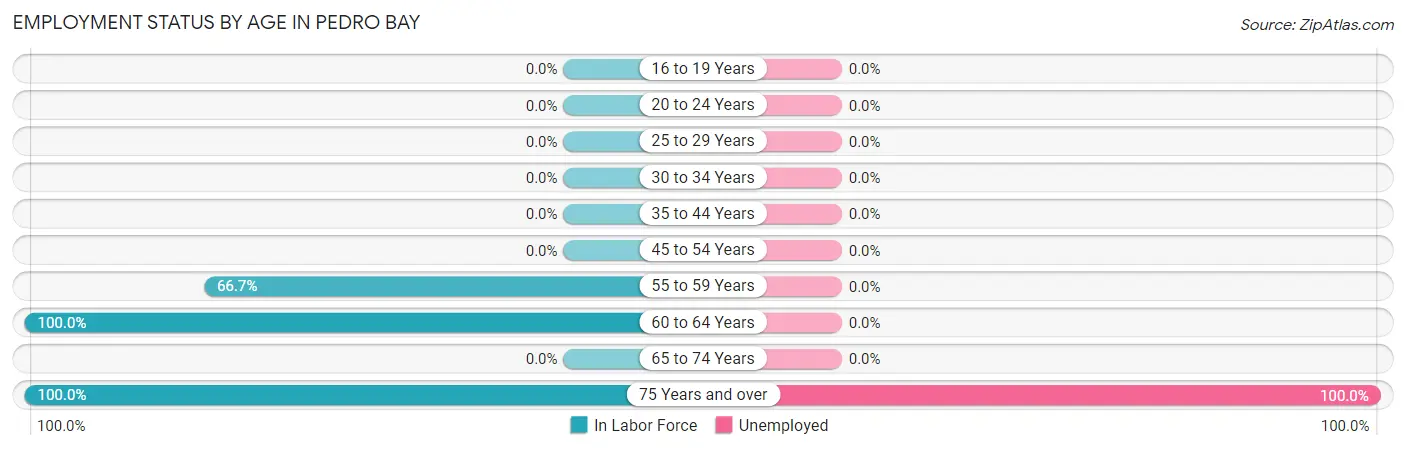 Employment Status by Age in Pedro Bay
