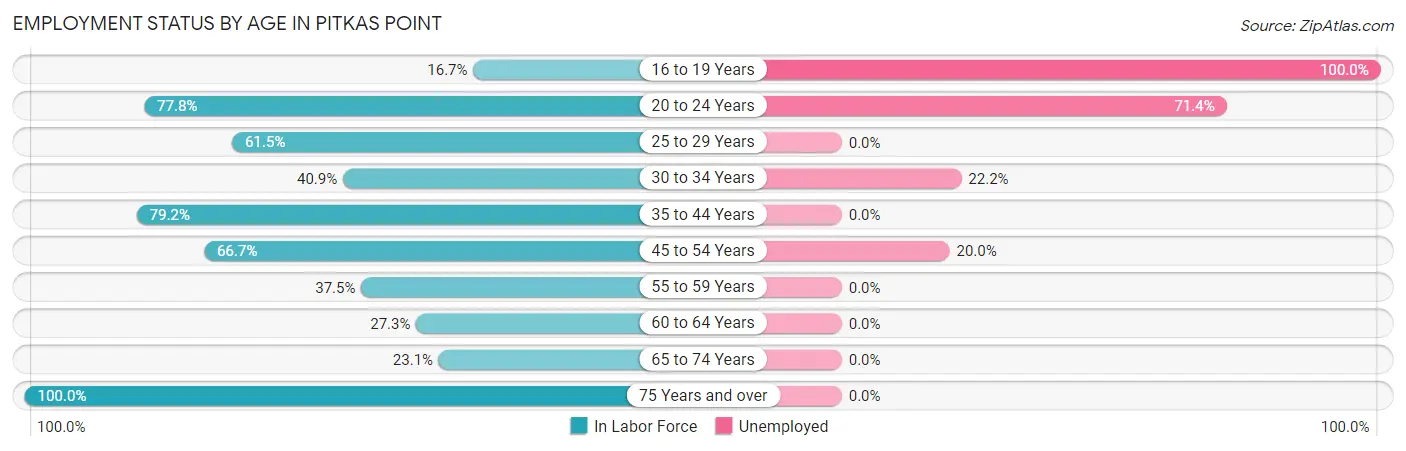 Employment Status by Age in Pitkas Point