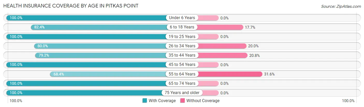 Health Insurance Coverage by Age in Pitkas Point