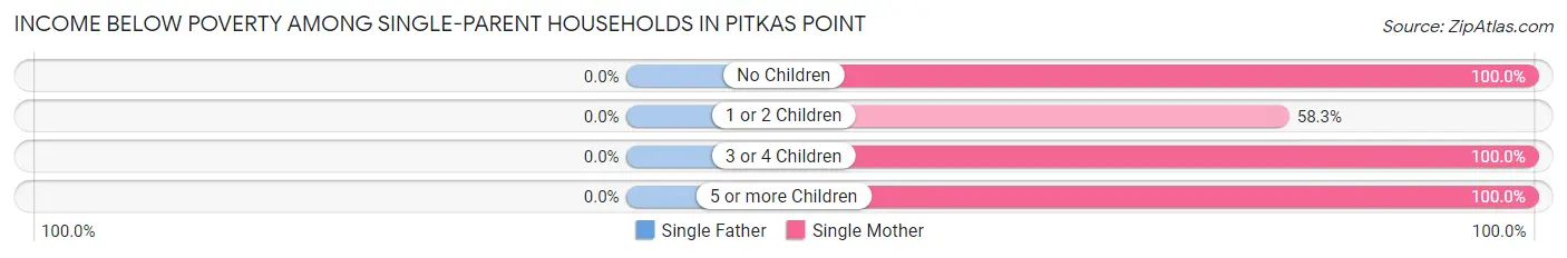 Income Below Poverty Among Single-Parent Households in Pitkas Point
