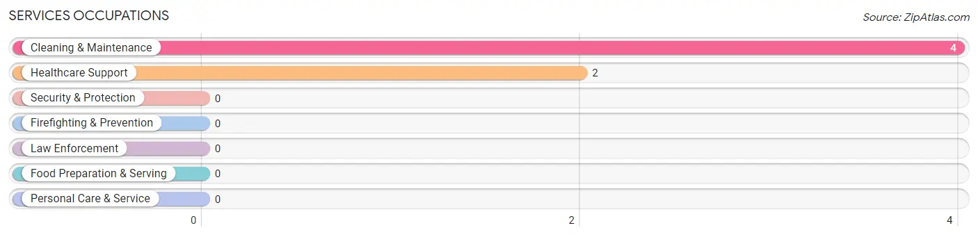 Services Occupations in Port Heiden