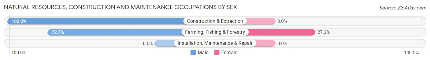 Natural Resources, Construction and Maintenance Occupations by Sex in Port Lions