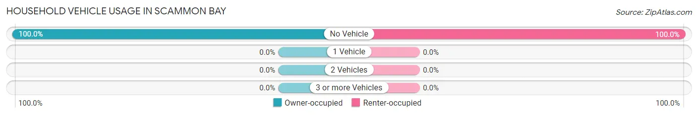 Household Vehicle Usage in Scammon Bay