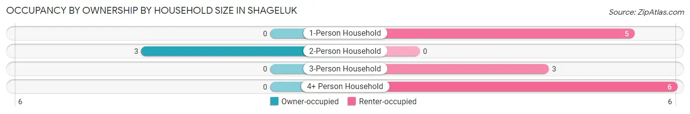 Occupancy by Ownership by Household Size in Shageluk