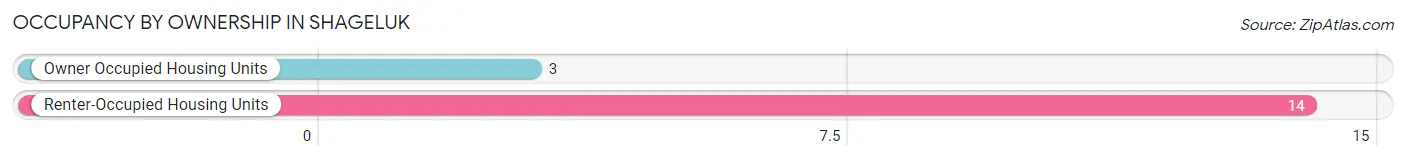 Occupancy by Ownership in Shageluk