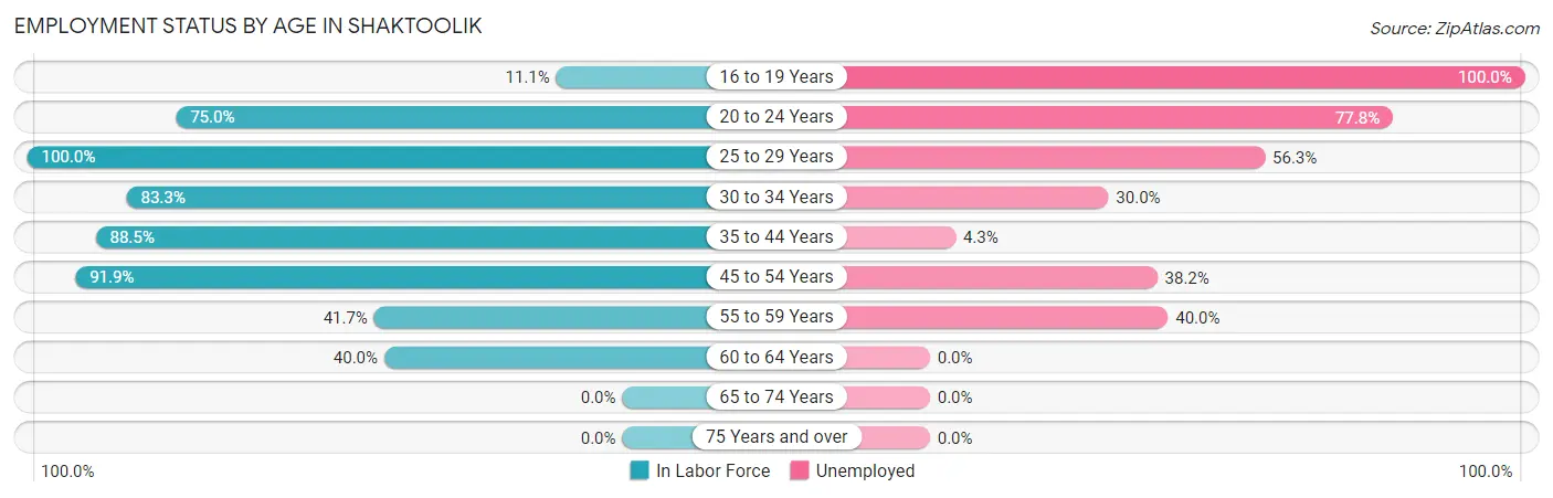 Employment Status by Age in Shaktoolik
