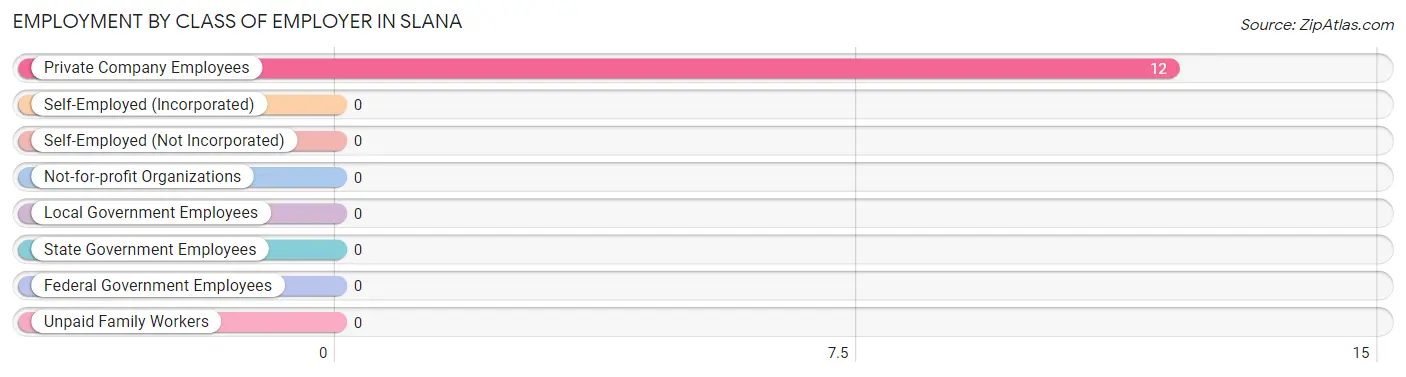 Employment by Class of Employer in Slana