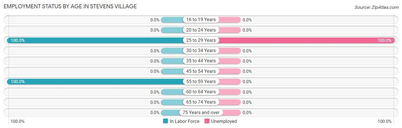 Employment Status by Age in Stevens Village