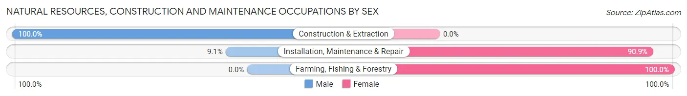 Natural Resources, Construction and Maintenance Occupations by Sex in Talkeetna