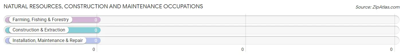 Natural Resources, Construction and Maintenance Occupations in Tanacross