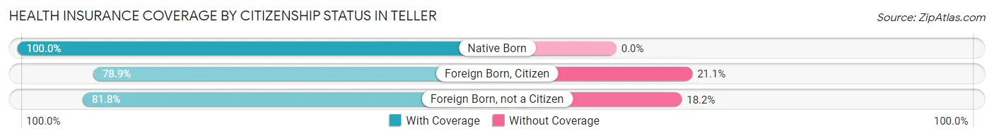 Health Insurance Coverage by Citizenship Status in Teller