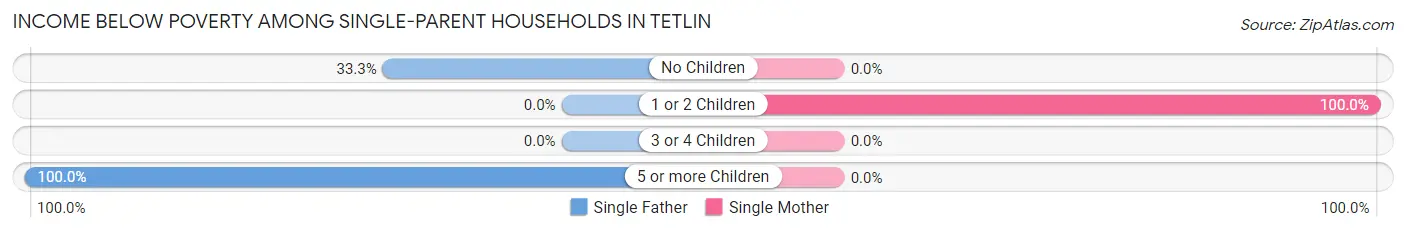 Income Below Poverty Among Single-Parent Households in Tetlin