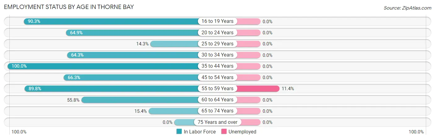 Employment Status by Age in Thorne Bay