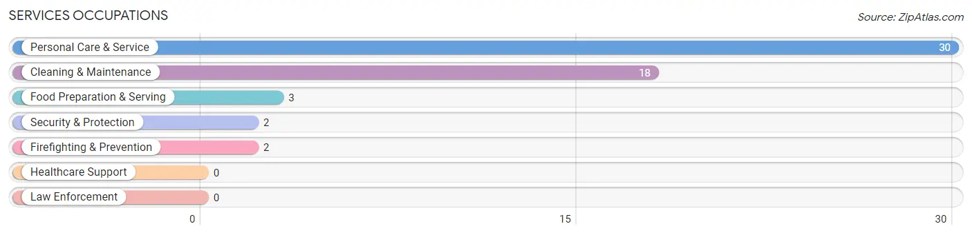 Services Occupations in Toksook Bay