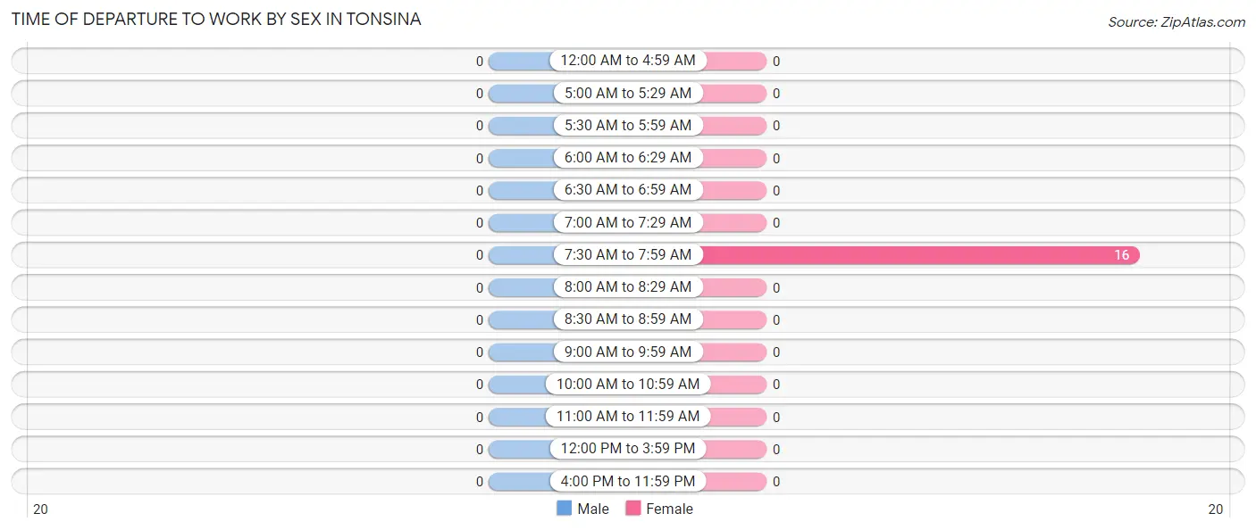 Time of Departure to Work by Sex in Tonsina