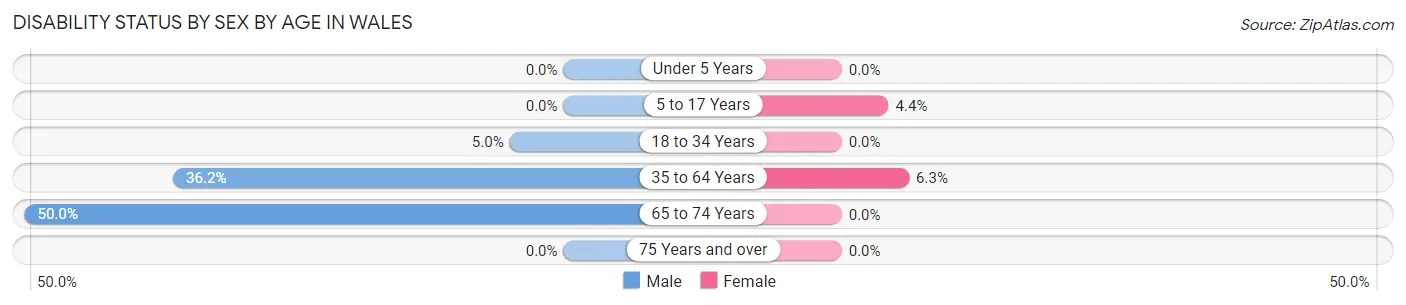 Disability Status by Sex by Age in Wales