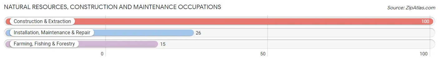 Natural Resources, Construction and Maintenance Occupations in Willow