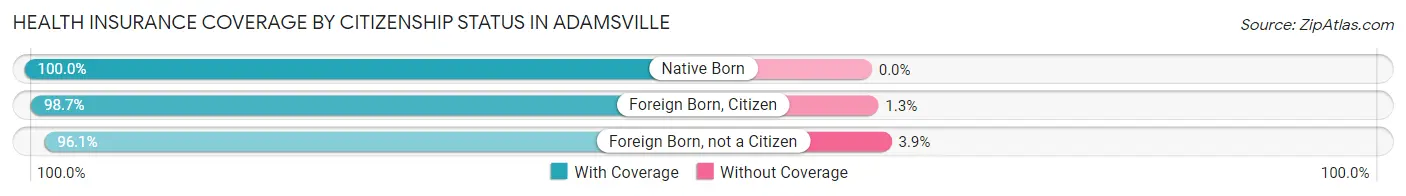 Health Insurance Coverage by Citizenship Status in Adamsville
