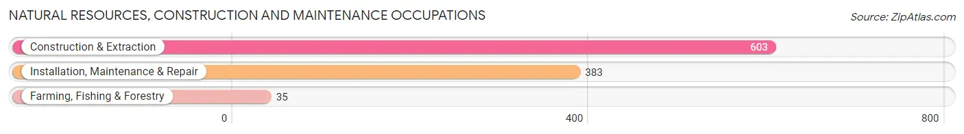 Natural Resources, Construction and Maintenance Occupations in Albertville