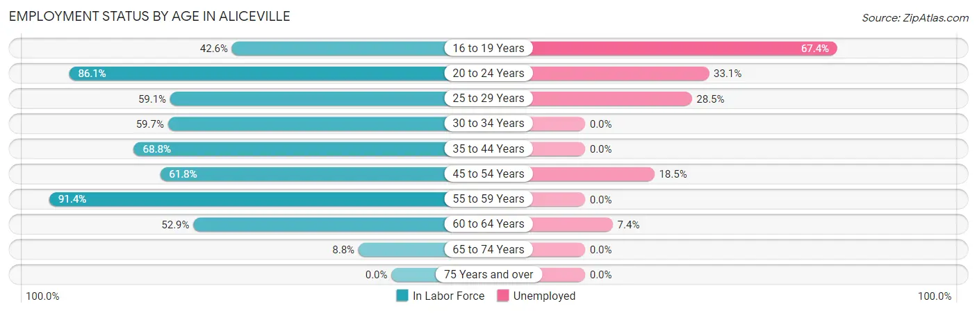 Employment Status by Age in Aliceville