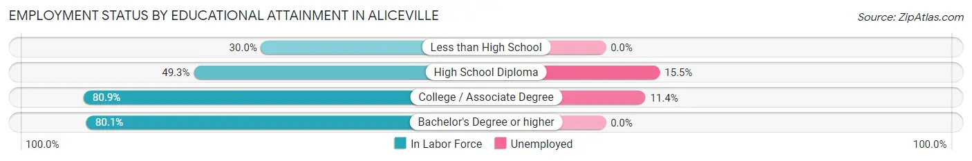 Employment Status by Educational Attainment in Aliceville
